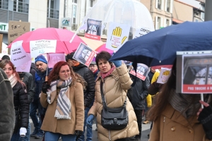Manifestation record au Puy-en-Velay contre la réforme des retraites (photos + vidéo)