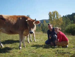Le GAEC Vach&#039;Mont Bio à Tence et ses vaches jersiaises