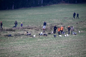 Saint-Romain-Lachalm : les chiens courent derrière le gibier ce samedi en souvenir d&#039;un chasseur décédé
