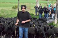 Max Grangeon, de Tence, va fournir des agneaux.