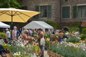 La 26e Fête des plantes garnira le château de Chavaniac- Lafayette les 4 et 5 juin