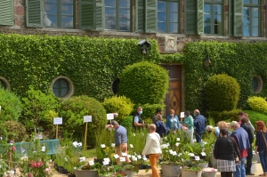 La 26e Fête des plantes garnira le château de Chavaniac- Lafayette les 4 et 5 juin