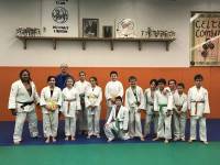 Tence : des judokas au stage départemental