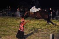 Le Chambon-sur-Lignon : plusieurs centaines de spectateurs à la Fête du cheval