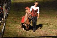 Le Chambon-sur-Lignon : plusieurs centaines de spectateurs à la Fête du cheval