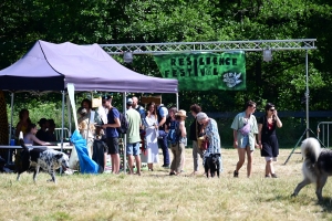 Au Chambon-sur-Lignon, le Résilience Festival sensibilise à l&#039;environnement