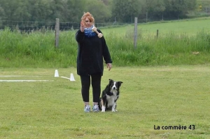Yssingeaux : le club canin organise un concours d’obéissance en moins de quinze jours