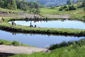 Saint-Didier-en-Velay : la pêche était en fête au plan d&#039;eau de la Péchoire