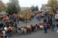Fay-sur-Lignon : la foire, une histoire d&#039;hommes et de chevaux (vidéo)