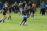 Tence : 320 jeunes rugbymen de 8 à 12 ans sur le pré