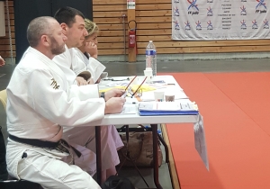 Judo : Dominique Castanet rejoint le Comité d&#039;organisation régional des grades