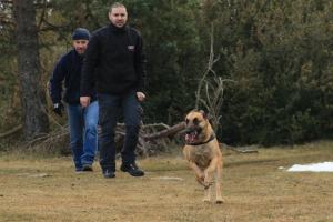 Yssingeaux : un concours de sauvetage canin pour la première fois ce week-end