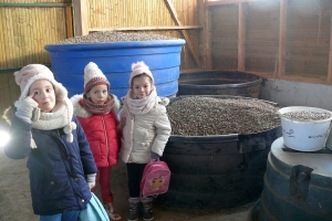 L’école à la ferme pour les maternelles de Grazac