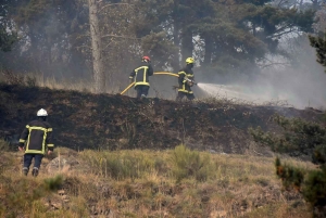 Monastier-sur-Gazeille : un mégot de cigarette jeté, 5 hectares de végétation en feu