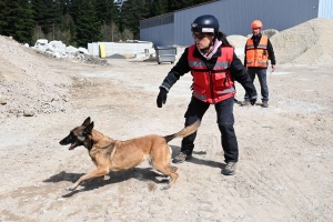 Yssingeaux : en sauvetage et décombres, les chiens mis à rude épreuve