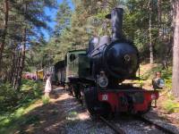 Le Chambon-sur-Lignon : le train touristique Velay Express déraille