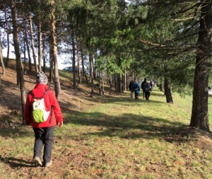 Monistrol-sur-Loire : le club de randonnée reprend ses marches
