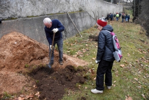 Vorey-sur-Arzon : 17 pommiers rustiques plantés, première étape de la reconquête des fruitiers