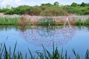 Une oeuvre artistique installée au milieu de l&#039;étang de la Plaine près de Rosières