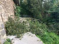 Tence : un arbre s&#039;effondre au bord de la Sérigoule