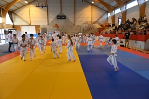 Monistrol-sur-Loire : un champion olympique de judo comme professeur