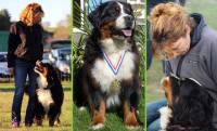 Club canin des sucs : la complicité entre Christelle Trevet et sa chienne Figlia
