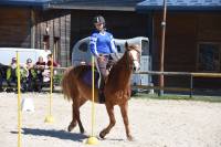Sport scolaire : Yssingeaux qualifié pour les championnats de France d&#039;équitation