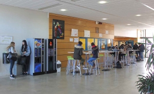 Monistrol-sur-Loire : au lycée Notre-Dame-du-Château, les jeunes poussent dans un terreau fertile