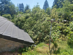 Tence : une rafale de vent brise un arbre dans la cour d&#039;une maison