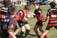 Tence : 220 apprentis rugbymen rassemblés sur les deux stades