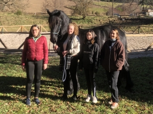 Le cheval est un médiateur pour aider les adolescents à se connecter à leurs émotions