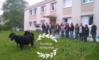Monistrol-sur-Loire : des brebis débarquent au collège du Monteil