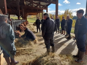 Blavozy : des éleveurs apprennent le dressage de bovins