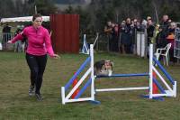 Les maîtres et leurs chiens de Haute-Loire brillent au premier concours d&#039;agility