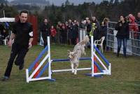 Les maîtres et leurs chiens de Haute-Loire brillent au premier concours d&#039;agility