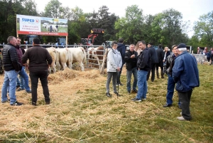 Saint-Julien-du-Pinet : des hommes, des bêtes et des machines pour la foire agricole