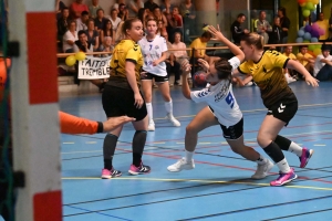 Handball : trois coupes pour Saint-Germain/Blavozy, deux pour Brioude et Loudes