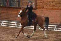 Equitation : 25 cavaliers au concours de dressage à Yssingeaux
