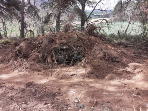 Retournac : les chasseurs aménagent un dôme de terre pour réintroduire le lapin