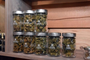 Puy-en-Velay : High Society démocratise le CBD, le cannabis légal