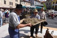 Rosières revendique être le berceau de la lentille verte en Haute-Loire