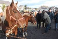 Fay-sur-Lignon : folklore et authenticité sur la foire aux chevaux