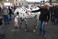 Fay-sur-Lignon : folklore et authenticité sur la foire aux chevaux