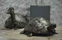 Une superbe tortue en métal de Michel Chacornac, un des artistes qui exposent actuellement au musée.