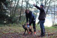 Yssingeaux : le club canin des Sucs va organiser un concours de sauvetage en surface
