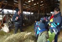 Grazac : les écoliers visitent une exploitation agricole