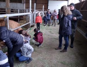Montregard : les écoliers visitent une ferme au Mazet-Saint-Voy