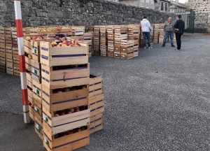 Montfaucon-en-Velay : l&#039;école privée renouvelle sa vente de pommes et jus de fruits