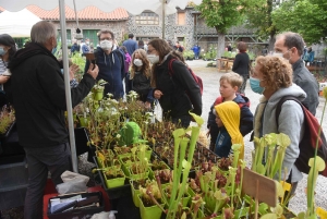Les mains vertes se retrouvent à la Fête des plantes de Chavaniac-Lafayette