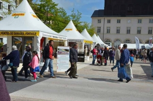 Yssingeaux : la foire-expo programmée en octobre dans le centre-ville